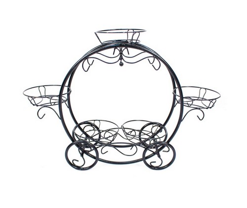 ���������� �� 5 ������� ������ ���� (������)