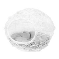 ����� ��� �������� ������� ����� (����� � ����� ��������)