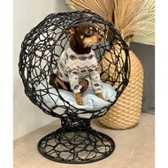 ����� ��� �������� ����� 1