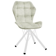 ���� ������� �������� (�������/����� �����)