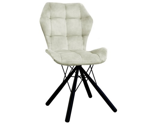 ���� ������� �������� (�������/������ �����)