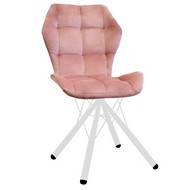 ���� ������� �������� (��������/����� �����)