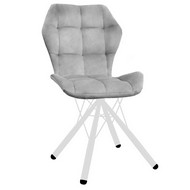 ���� ������� �������� (�����/����� �����)