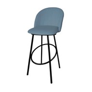 ���� ���������� �������-�����, ������ �����