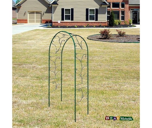 ���� ������� 2