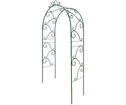 ���� �������