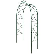 ���� �������