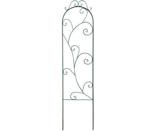 ������� �����