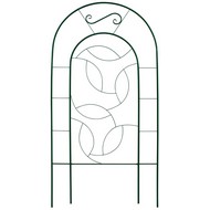 ������� ����