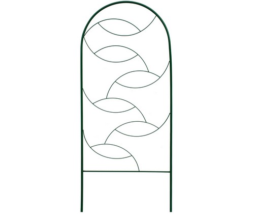 ������� ����� 6