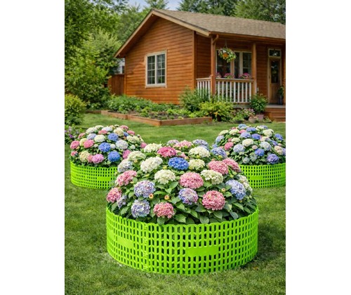 ������ ������� �������� �������� 10 �� (�������)