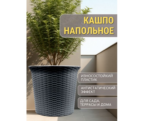 ����� ������� ��� ������ 50� ����� (�����-�����)