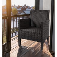 ������ ������� ��� ������ ����� (�����-�����)