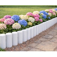 ������ ������� ����� 10 �� (�����)